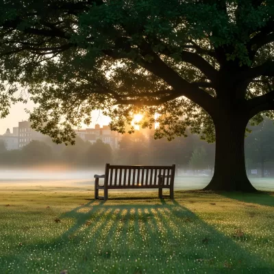 Imagen PNG para descargar